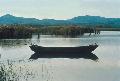 Lago Trasimeno